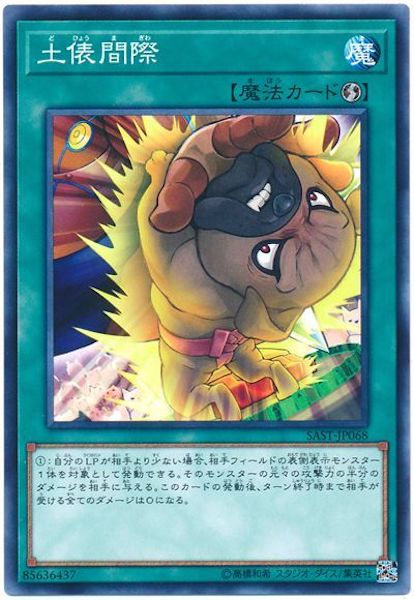 [SAST]��ɶ�ֺ�(�Ρ��ޥ�)SAST-JP068