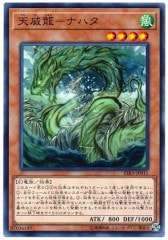 霊王の波動　【25th】　ROTA-JP079 日版 000000084699_bGnAIgh.jpg