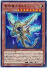 [CHIM]ζͥӥ(쥢)CHIM-JP015