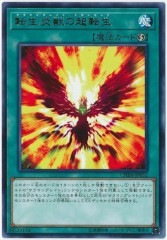 [CHIM]žäĶž(쥢)CHIM-JP052