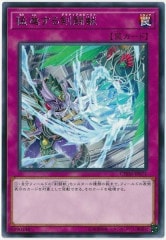 [CHIM]ԿʤƮ(쥢)CHIM-JP071