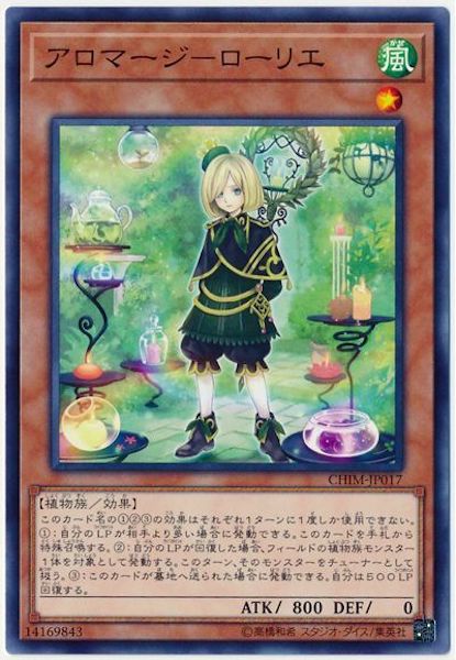 [CHIM]�����ޡ��� �����ꥨ(�Ρ��ޥ�)CHIM-JP017