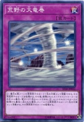 [SD33]ε(Ρޥ)SD33-JP032