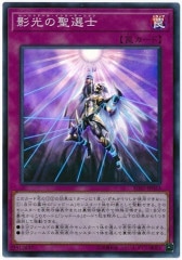 [SD37]Ƹ(ѡ쥢)SD37-JP033