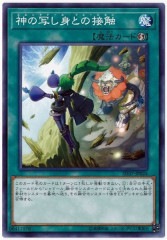 [SD37]μ̤ȤȤܿ(Ρޥ)SD37-JP024