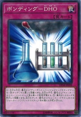 [DP18]ܥǥ DHO(Ρޥ)DP18-JP039