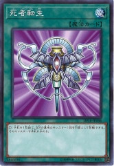 [DP18]ž(Ρޥ)DP18-JP048