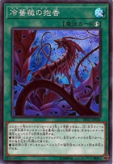 [DP21]鯤(ѡ쥢)DP21-JP026