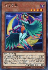 [DP21]Ļ(쥢)DP21-JP046