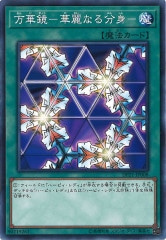 [DP21]ڶ ʤʬ (Ρޥ)DP21-JP008