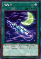 [DP21](Ρޥ)DP21-JP055