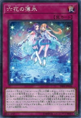 「希少品」遊戯王 六花のしらひめ トークン② 中国フラッグシップ限定 六花 - 遊戯王カード/YuGiOhTCG トレカ通販-フルコンプ-ONLINE SHOP-