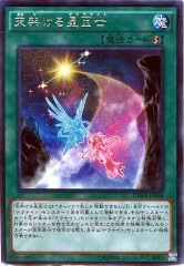 [DUEA]ŷͤ(쥢)DUEA-JP058