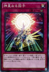 [DUEA]ʤ(Ρޥ)DUEA-JP071