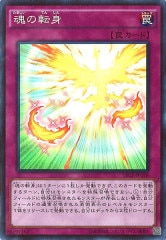 [SECE]ž(ѡ쥢)SECE-JP078