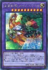 [CROS]õ ڥ饤(åȥ쥢)CROS-JP045