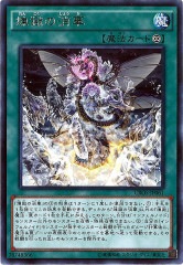 [CROS]ξò(쥢)CROS-JP061