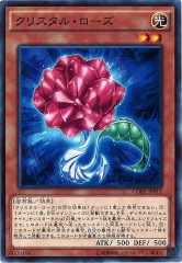 [CORE]ꥹ롦(Ρޥ)CORE-JP012