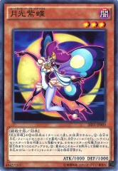 [SHVI]ĳ(Ρޥ)SHVI-JP009