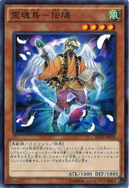 [RATE]Ļ ȷ(Ρޥ)RATE-JP024