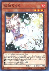 [MACR]ή(ѡ쥢)MACR-JP036