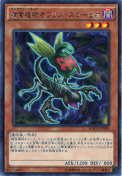 [MACR]Ῡʪեꥹԥ(쥢)MACR-JP009