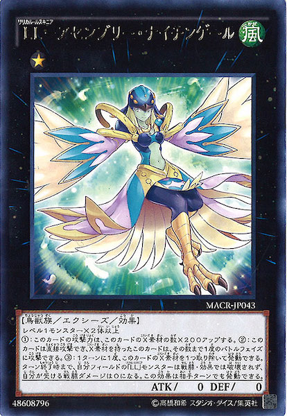 [MACR]LL ֥꡼ʥ󥲡(쥢)MACR-JP043