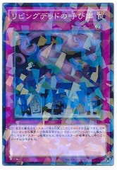 [SPWR]ӥ󥰥ǥåɤθƤ(Ρޥѥ)SPWR-JP044