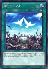 [SPWR]RR ͥ(Ρޥ)SPWR-JP026