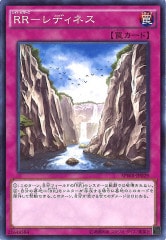 [SPWR]RR ǥͥ(Ρޥ)SPWR-JP029