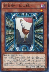 [CPF1]ֻ  (Ρޥ)CPF1-JP035