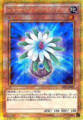 [GP16]åסХ(ɥåȥ쥢)GP16-JP001