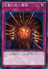 [DP17]Ӥ(Ρޥ)DP17-JP036