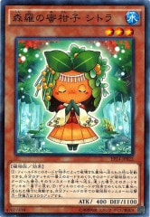 [EP14]̪ҡȥ(Ρޥ)EP14-JP022