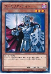 [SDKS]�ե��ߥꥢ���ʥ���(�Ρ��ޥ�)SDKS-JP018