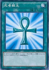 [SDKS]�������(�Ρ��ޥ�)SDKS-JP025