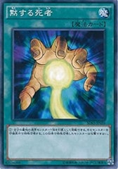 [SDKS]�ۤ�����(�Ρ��ޥ�)SDKS-JP026