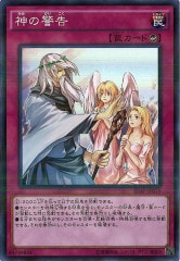 [20AP-2]ηٹ(ѡѥ쥢)20AP-JP079