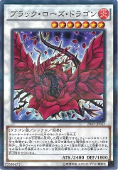 [20AP-2]֥åɥ饴(Ρޥѥ)20AP-JP067