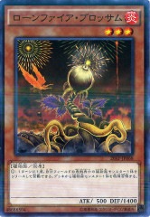 [20AP-2]ե֥å(Ρޥѥ)20AP-JP068