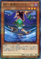 [20AP-2]BF Υ(Ρޥѥ)20AP-JP069