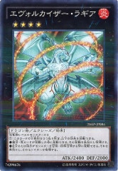 [20AP-2]륫饮(Ρޥѥ)20AP-JP084