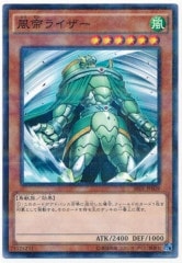 [SR01]饤(Ρޥѥ)SR01-JP009