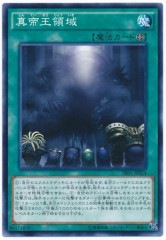 [SR01]벦ΰ(Ρޥ)SR01-JP024