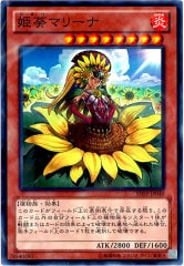 [SHSP]ɱޥ꡼(ѡ쥢)SHSP-JP040