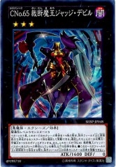 [SHSP]CNo.65Ⲧåǥӥ(ѡ쥢)SHSP-JP048