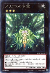 [SHSP]ꥢ(쥢)SHSP-JP055