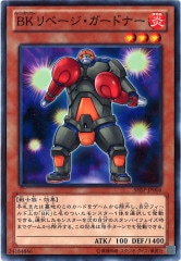 [SHSP]BK١ɥʡ(Ρޥ)SHSP-JP006