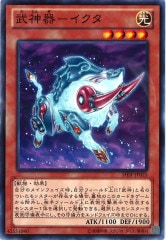 [SHSP] (Ρޥ)SHSP-JP025