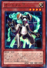 [CBLZ]ӥ (ȥ쥢)CBLZ-JP020